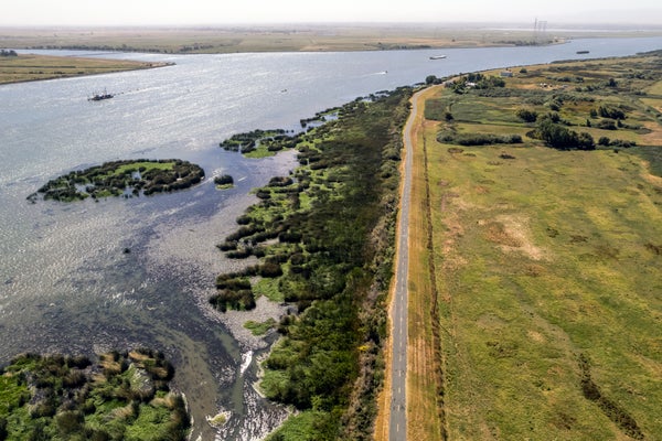 Aerial view of road alongside wetlands