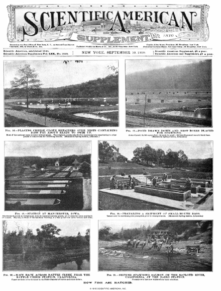 SA Supplements Vol 70 Issue 1810supp