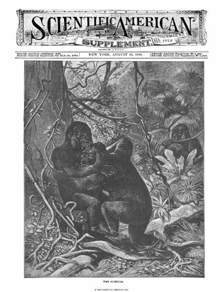 SA Supplements Vol 42 Issue 1078supp