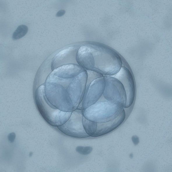 Scientists Apply for License to Edit Genes in Human Embryos