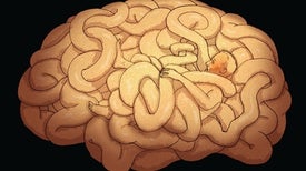 Why Do People Kill Themselves?