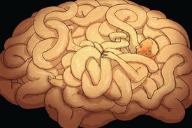 Why Do People Kill Themselves?