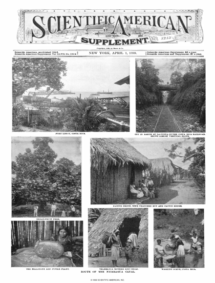 SA Supplements Vol 47 Issue 1213supp