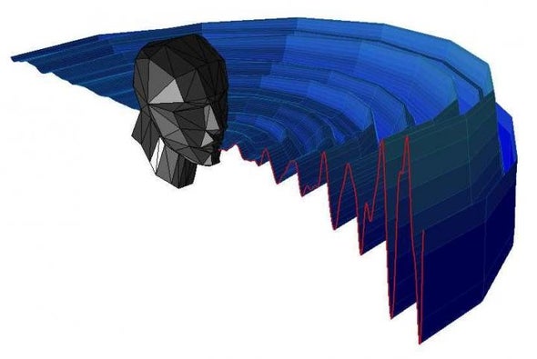 Human Echolocators Use Tricks Similar to Bats
