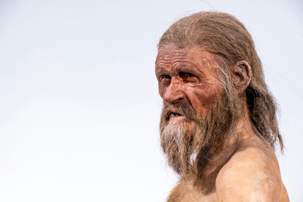 Portrait of bearded Ötzi the Iceman