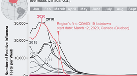 Flu Has Disappeared for More Than a Year