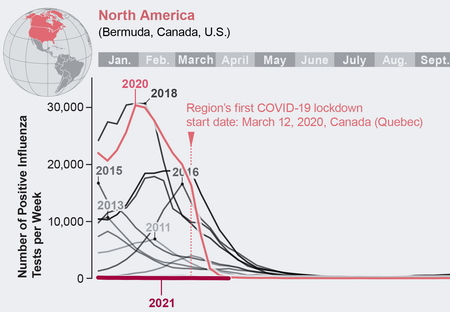 Line chart for North America shows a drop in positive flu tests concurrent with COVID lockdowns.