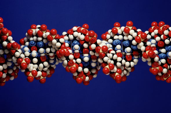 Salmonella Could Have Caused 16th-Century Epidemic