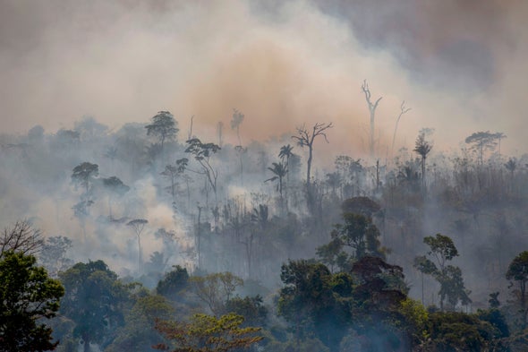 COVID-19 and Amazon Fires Choke the Lungs of Brazilians--and the Planet