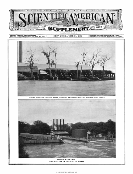 SA Supplements Vol 53 Issue 1381supp