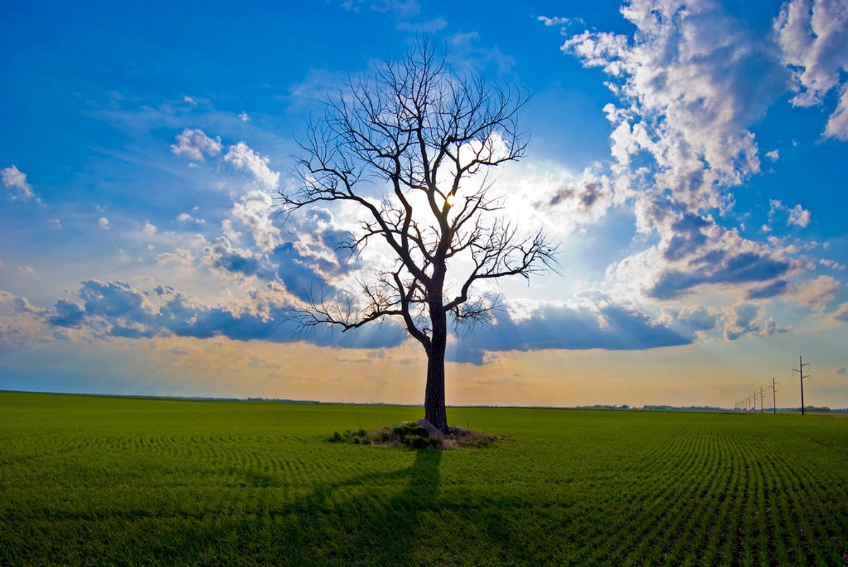 How Awe Shapes Views of Science | Scientific American