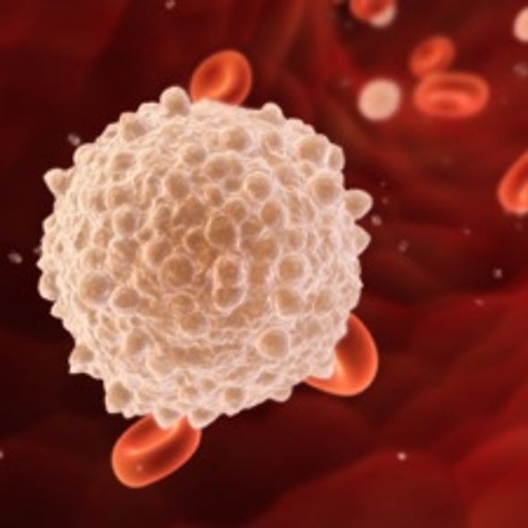 Counterintuitive Cure: A Nanovaccine That Stops Autoimmune Disease by Boosting the Immune System
