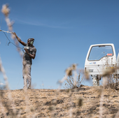 Field researcher Longida Siodi uses an antenna to find baboons, some of which wear tracking collars.