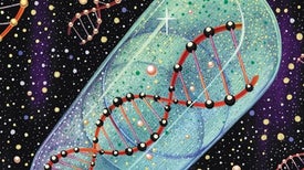 Turning DNA into Drugs