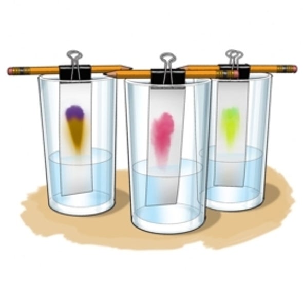 Chromatography: Be a Color Detective