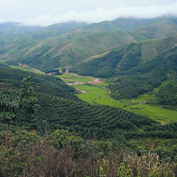 Tread Heavily: China's Tire Demand Rolls over Southeast Asian Forests