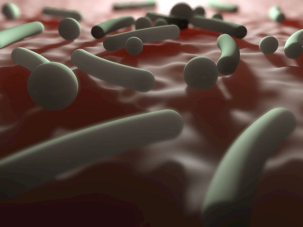How Bacteria in the Placenta Could Help Shape Human Health