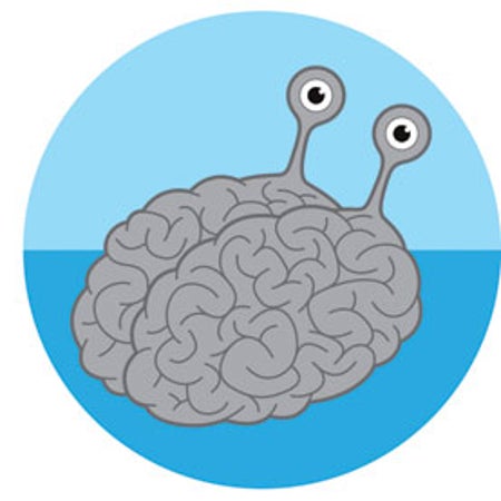 大众科学 Logo