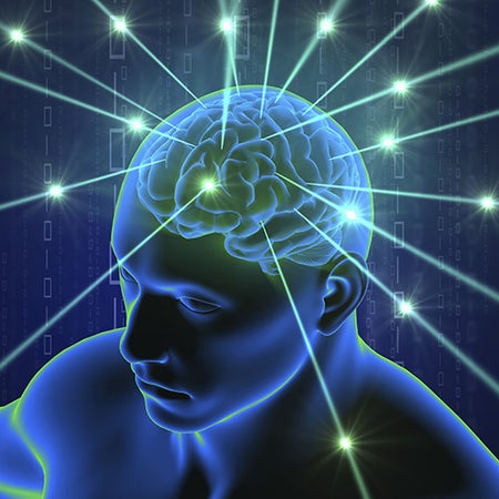 illustration of human brain