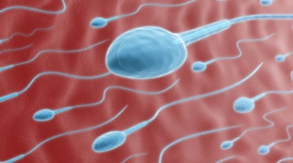 Male Semen Makes HIV More Potent - Scientific American