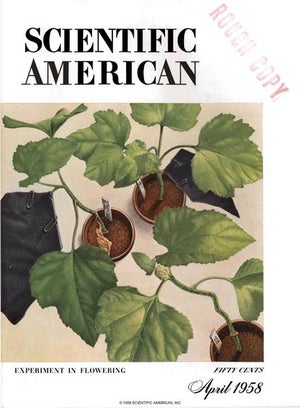 Scientific American Magazine Vol 198 Issue 4