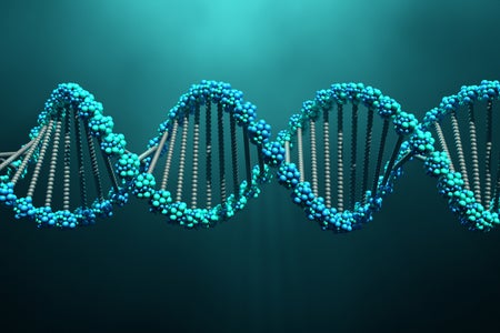 3d illustration DNA molecules