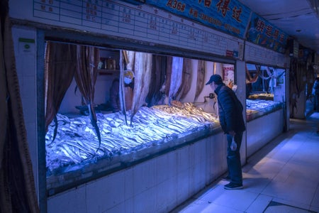 A customer shops for fish at a wet market in Shanghai, China.