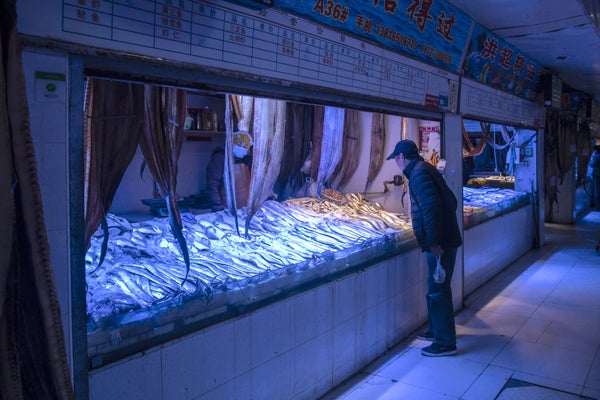 A customer shops for fish at a wet market in Shanghai, China.
