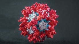 在自然界中从未见过的人工蛋白正在成为新的Covid疫苗和药物