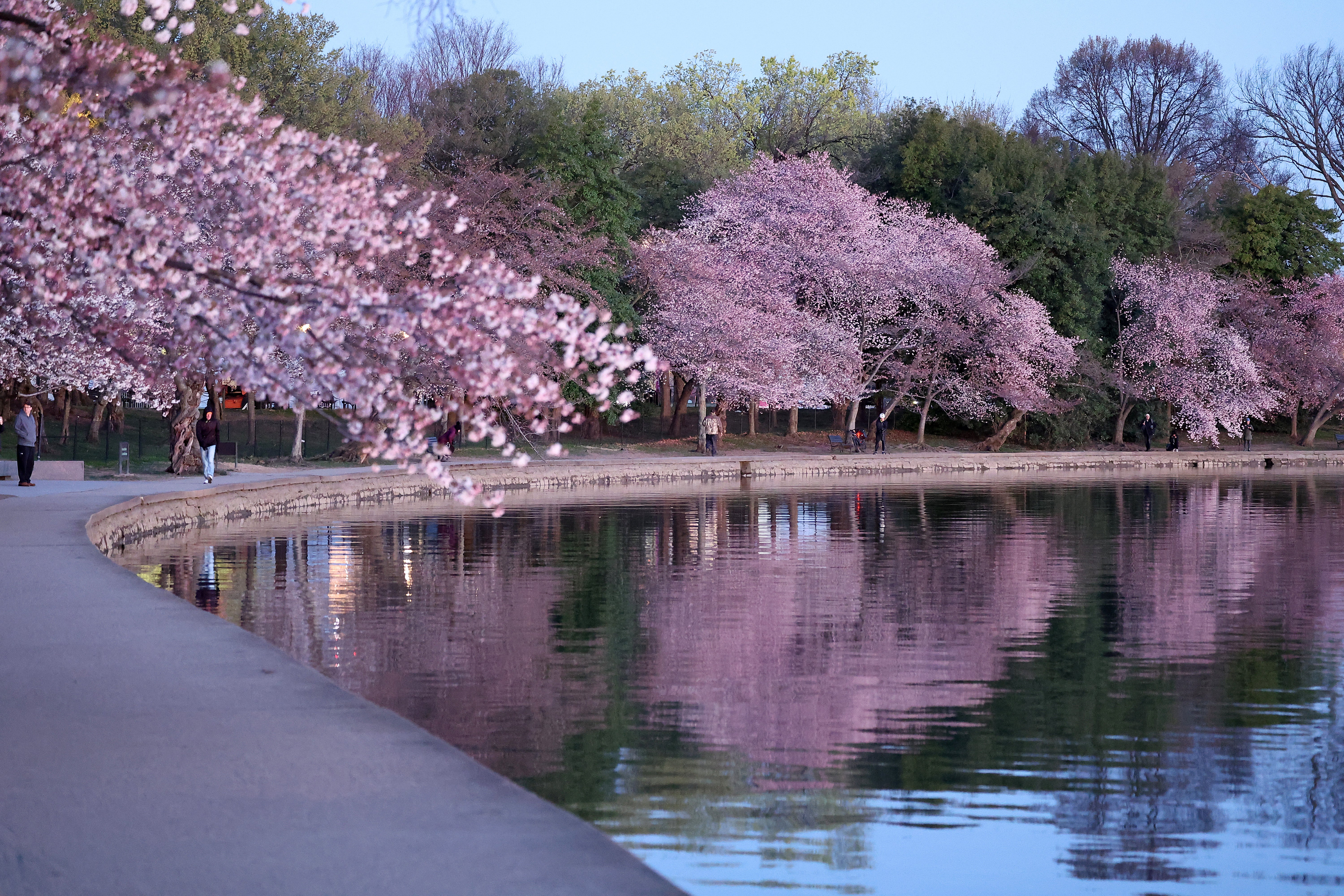 Washington Nationals Cherry Blossom City Connect Retail Launch Party -  Photos - Washington Times