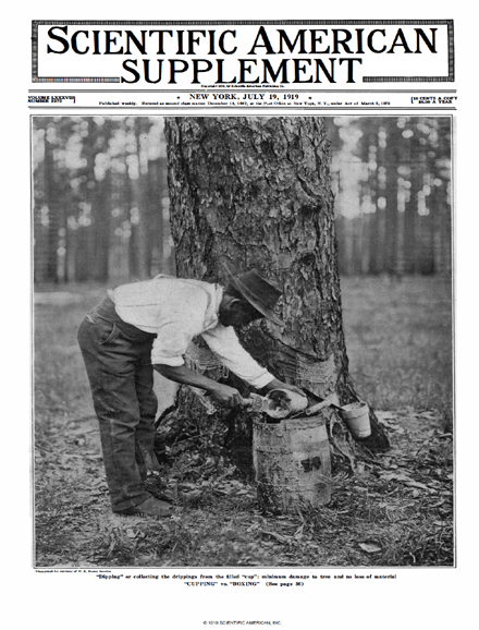 SA Supplements Vol 88 Issue 2272supp