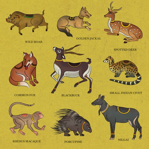 Ilustration of mammals