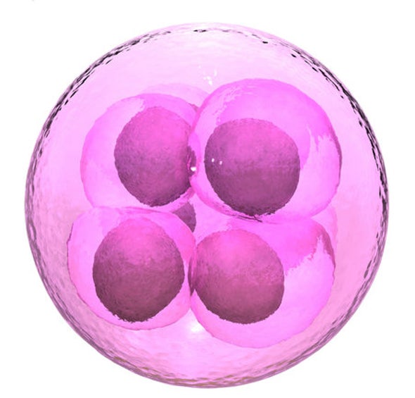 New Test Lets Women Pick Their Best IVF Embryo