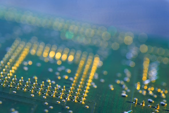 Mantis Shrimp Shells May Inspire Next-Generation Computer Chips