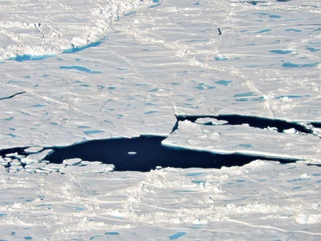 Sea ice floes with melt ponds in the Arctic Ocean