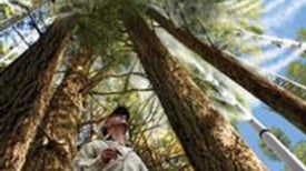 Climate Change: A Controlled Experiment