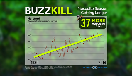mosquito season chart