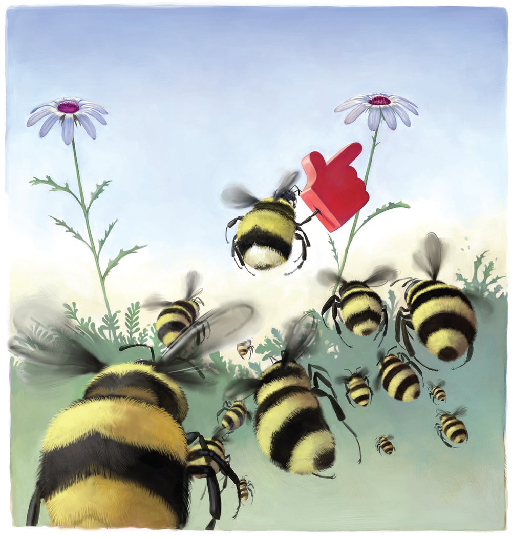 Chimps, Horses, Kangaroos and Even Bees Can Be Righties or Lefties Scientific American