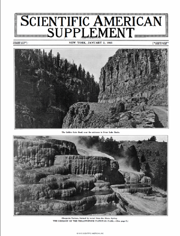 SA Supplements Vol 79 Issue 2035supp