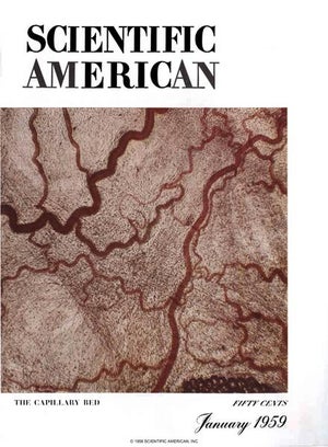 Scientific American Magazine Vol 200 Issue 1