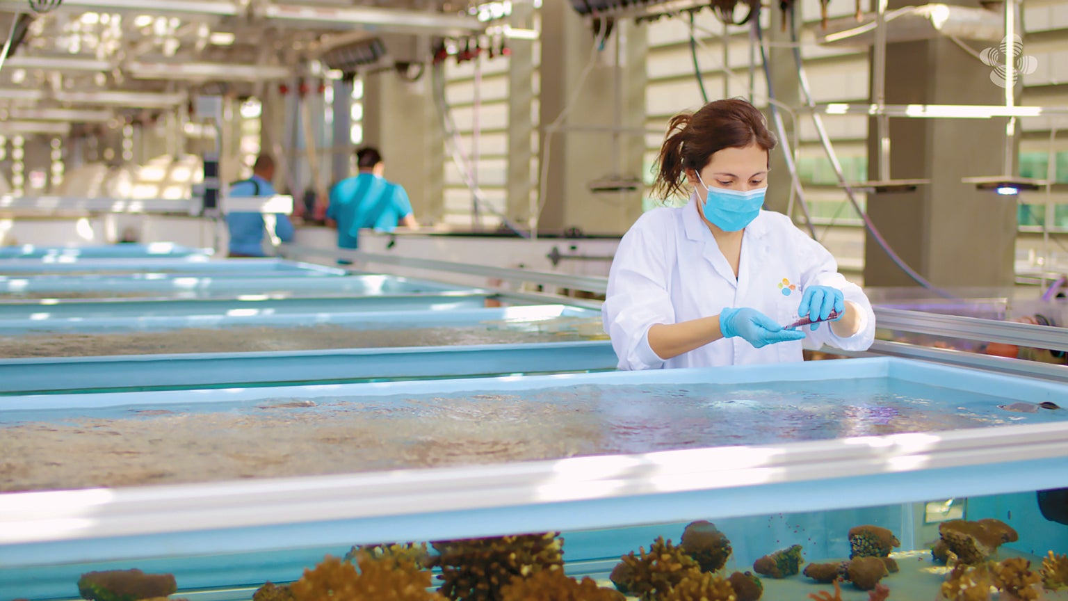 MARINE SCIENTIST Raquel Peixoto tests probiotics in the lab.