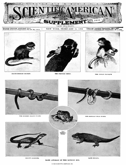 SA Supplements Vol 55 Issue 1415supp