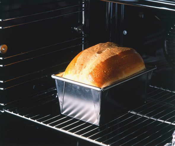 "Hunger Hormone" Ghrelin Aids Overindulgence