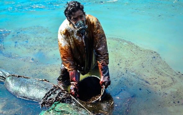 Mauritians Launch Rescue to Save Wildlife from Oil Spill