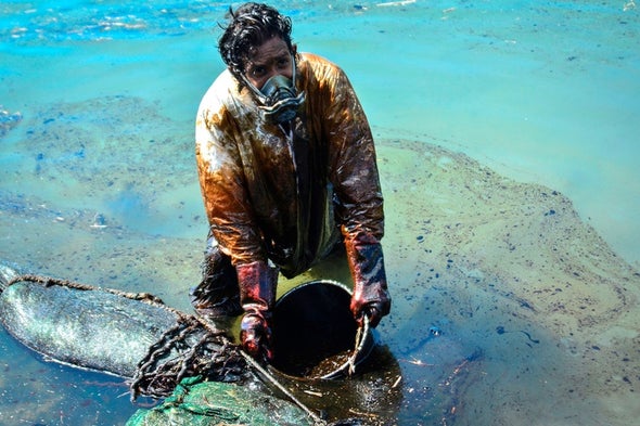 Mauritians Launch Rescue to Save Wildlife from Oil Spill