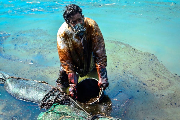 Mauritians Launch Rescue to Save Wildlife from Oil Spill