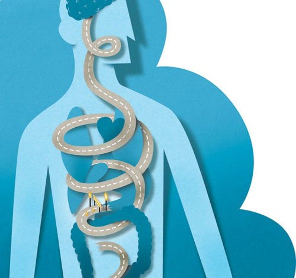 Does Weight-Loss Surgery Rewire Gut–Brain Connections?  