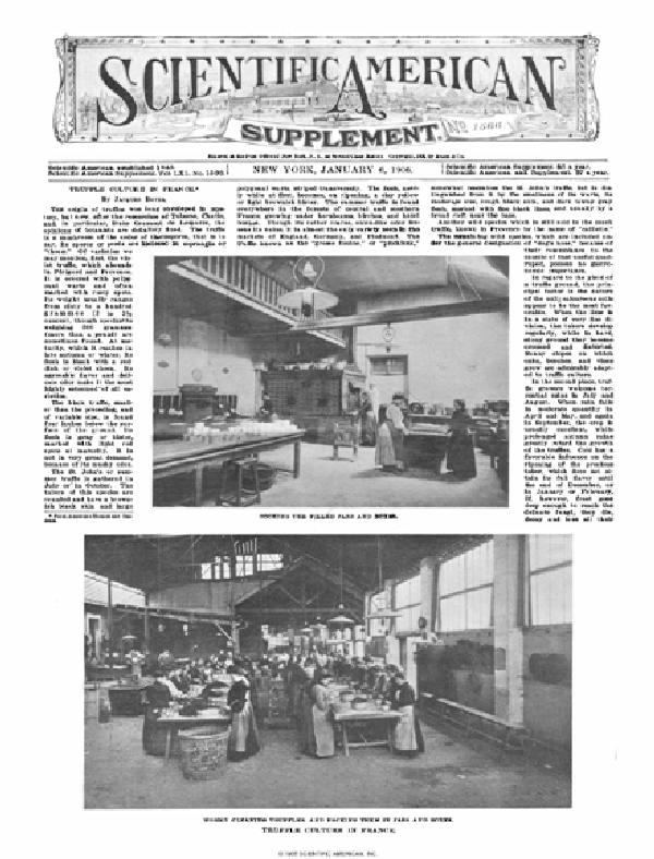 SA Supplements Vol 61 Issue 1566supp