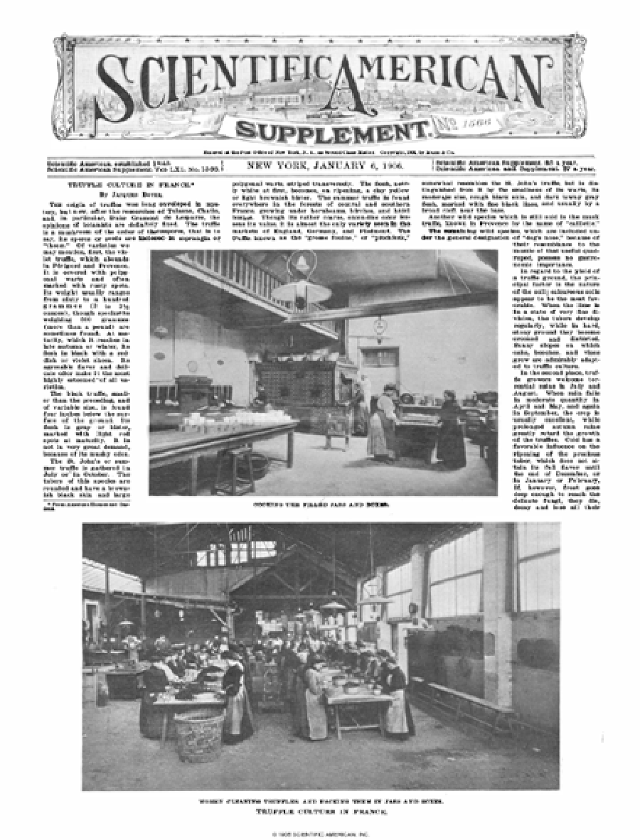 Scientific american supplements volume 61 issue 1566supp scientific