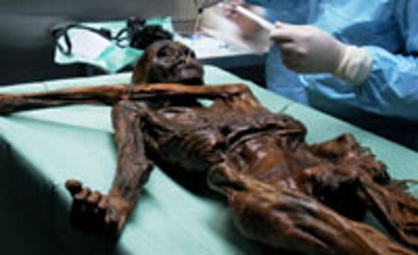 DNA Discloses Makeup of Iceman's Last Meals
